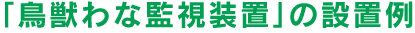 「鳥獣わな監視装置」の設置例