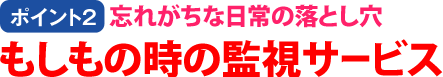 【ポイント2】忘れがちな日常の落とし穴 もしもの時の監視サービス