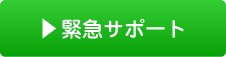 緊急サポート