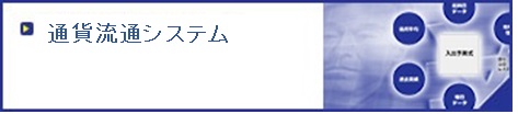 通過流有システム