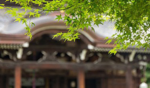 寺・神社・仏閣の防犯対策