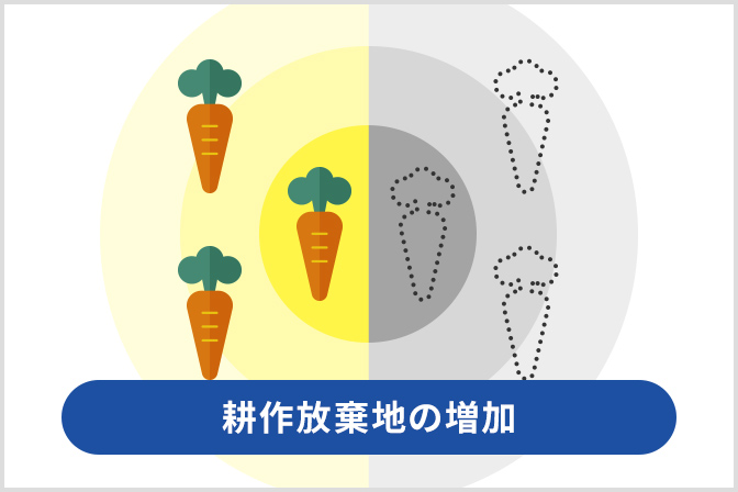 耕作放棄地の増加