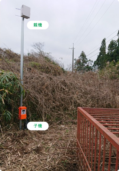 麻ひも、鳥獣わな監視装置(カメラ有り)、箱なわ