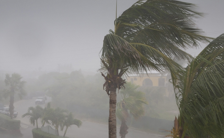 日本における台風・風害のリスク