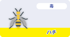 ハチ（毒）