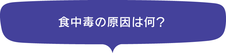 食中毒の原因は何？