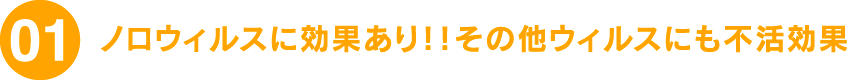 01 ノロウィルスに効果あり！！その他ウィルスにも不活効果