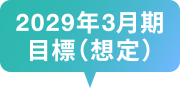 2029年3月期目標（想定）
