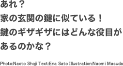 あれ？家の玄関の鍵に似ている！鍵のギザギザにはどんな役目があるのかな？