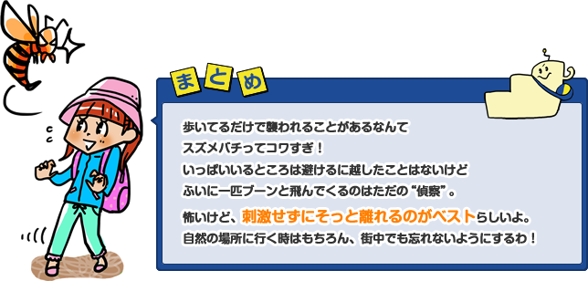 歩いてるだけで襲われることがあるなんてスズメバチってコワすぎ!いっぱいいるところは避けるに越したことはないけどふいに一匹ブーンと飛んでくるのはただの“偵察”。怖いけど、刺激せずにそっと離れるのがベストらしいよ。自然の場所に行く時はもちろん、街中でも忘れないようにするわ!