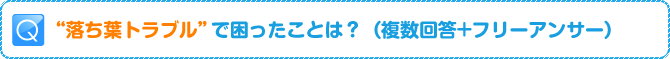 Q:“落ち葉トラブル”で困ったことは?(複数回答+フリーアンサー)