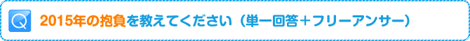 Q:2015年の抱負を教えてください(単一回答+フリーアンサー)