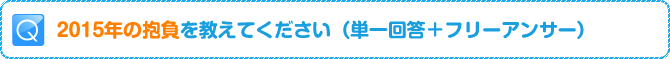 Q:2015年の抱負を教えてください（単一回答＋フリーアンサー）