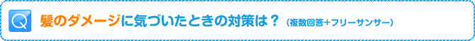 Q:髪のダメージに気づいたときの対策は？（複数回答+フリーサンサー）