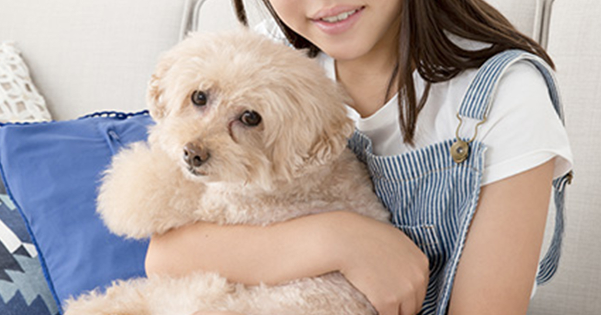 はじめての留守番は何歳から?子どもだけのお留守番事情