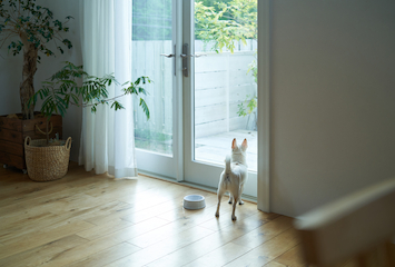 留守番前に準備すべきこと