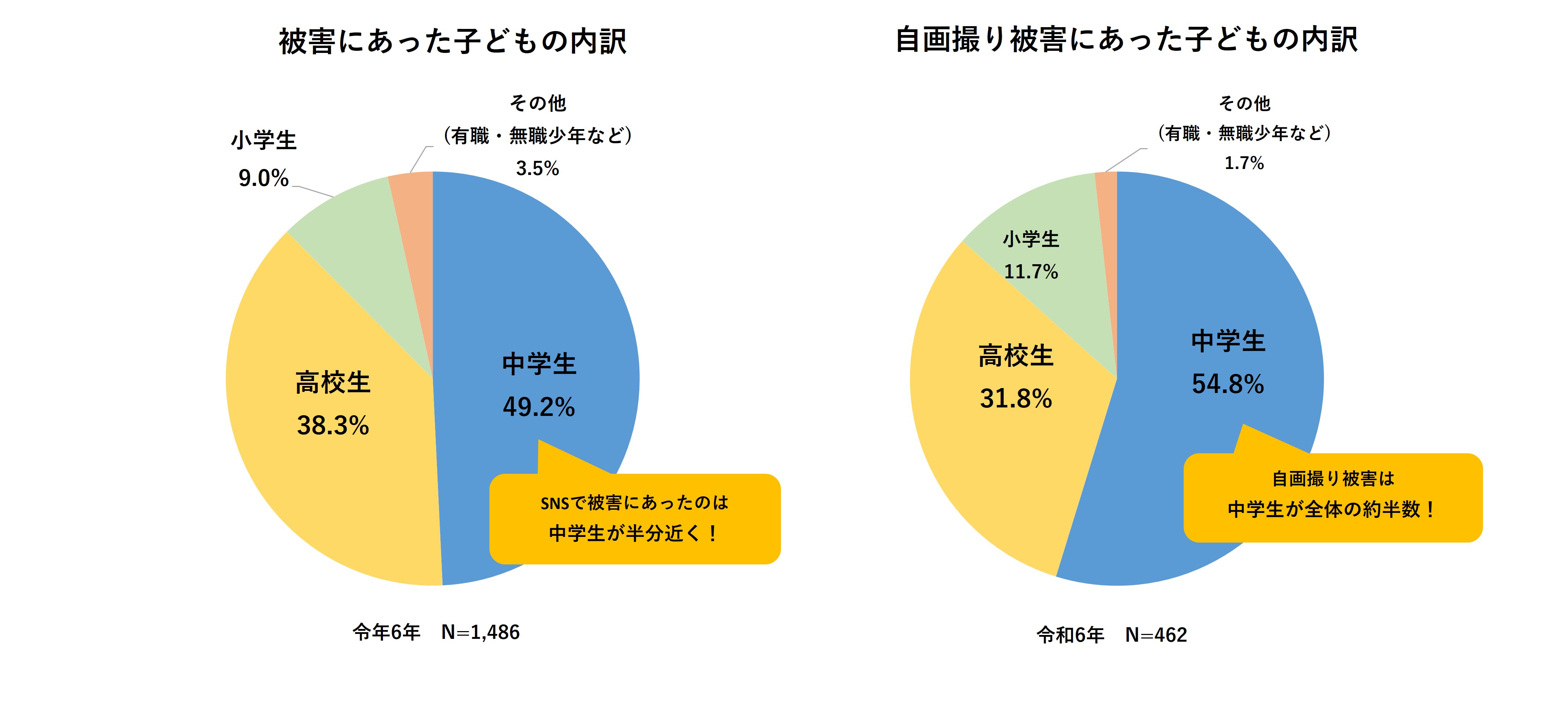 被害にあった子供の内訳 自画撮り被害にあった子供の内訳の円グラフ