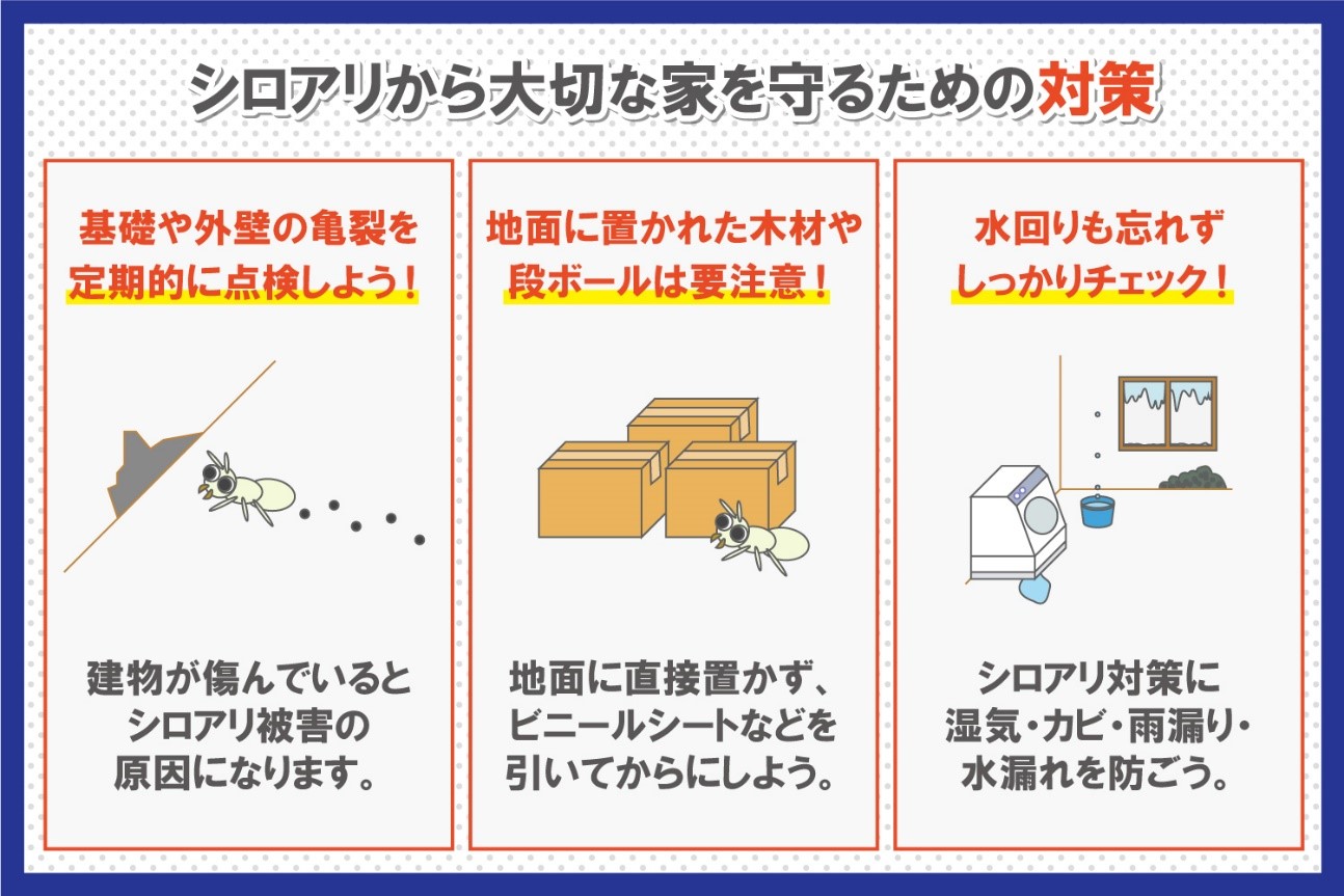 シロアリから大切な家を守るための対策