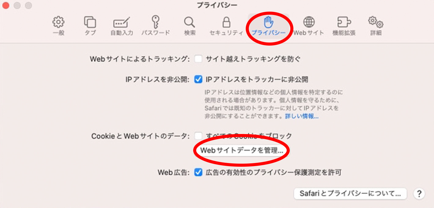 「Webサイトデータを管理」をクリックのイメージ