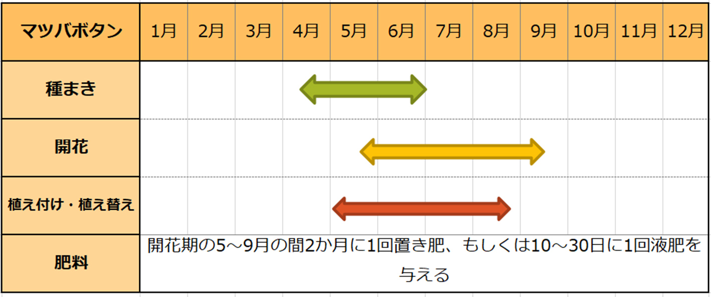 マツバボタン種まきスケジュール