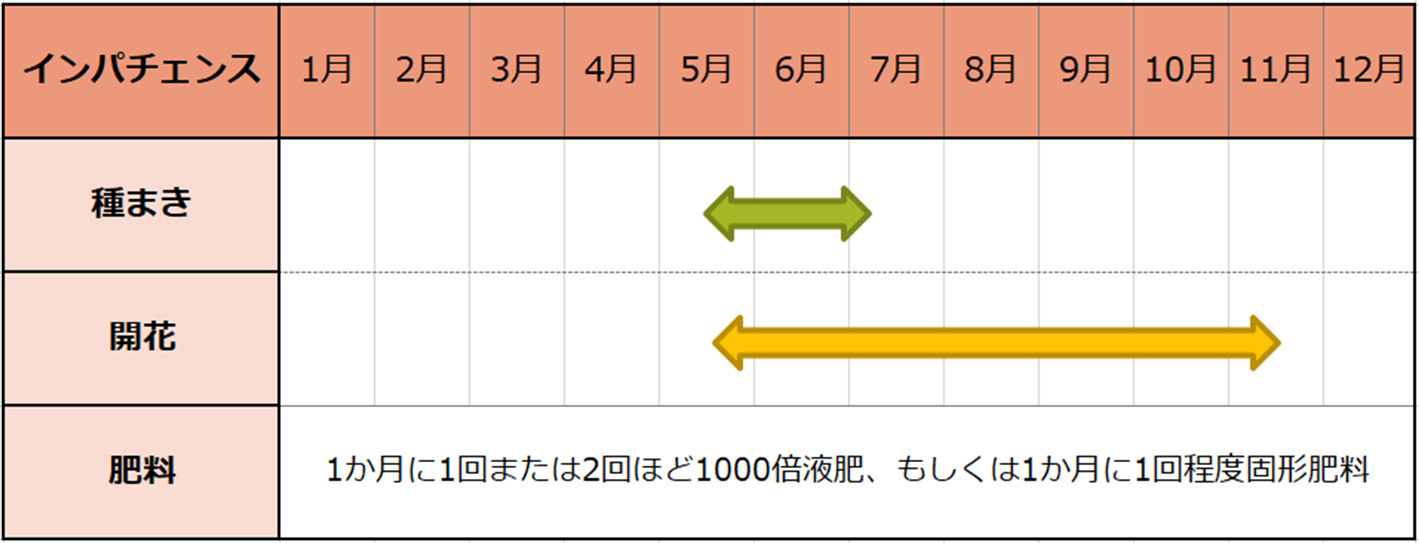 インパチェンス種まきスケジュール