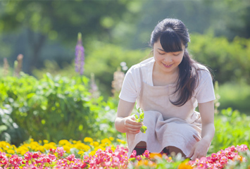 暑さに負けない！7月に植えるおすすめの花4選