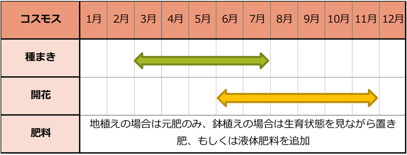 コスモス種まきスケジュール