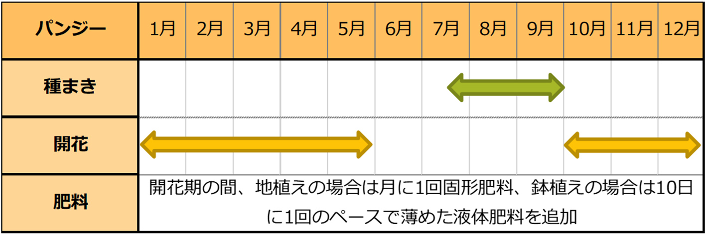 パンジー種まきスケジュール