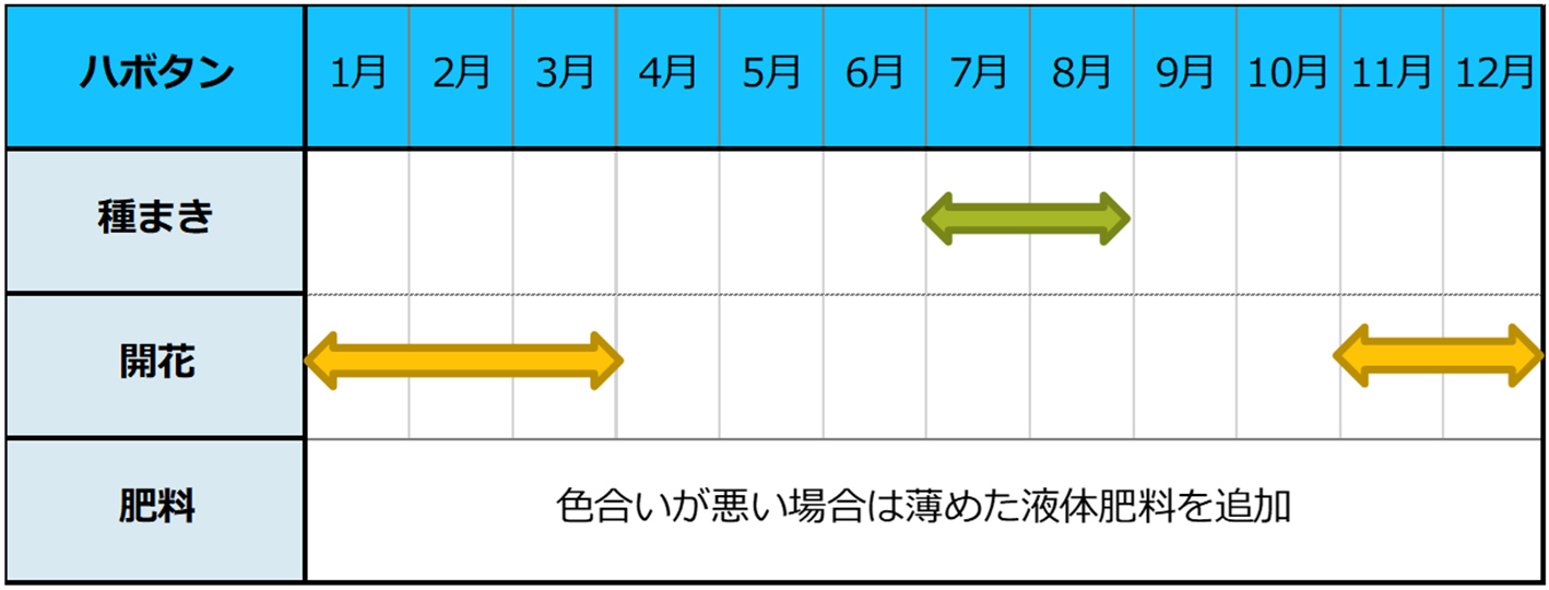 ハボタン種まきスケジュール