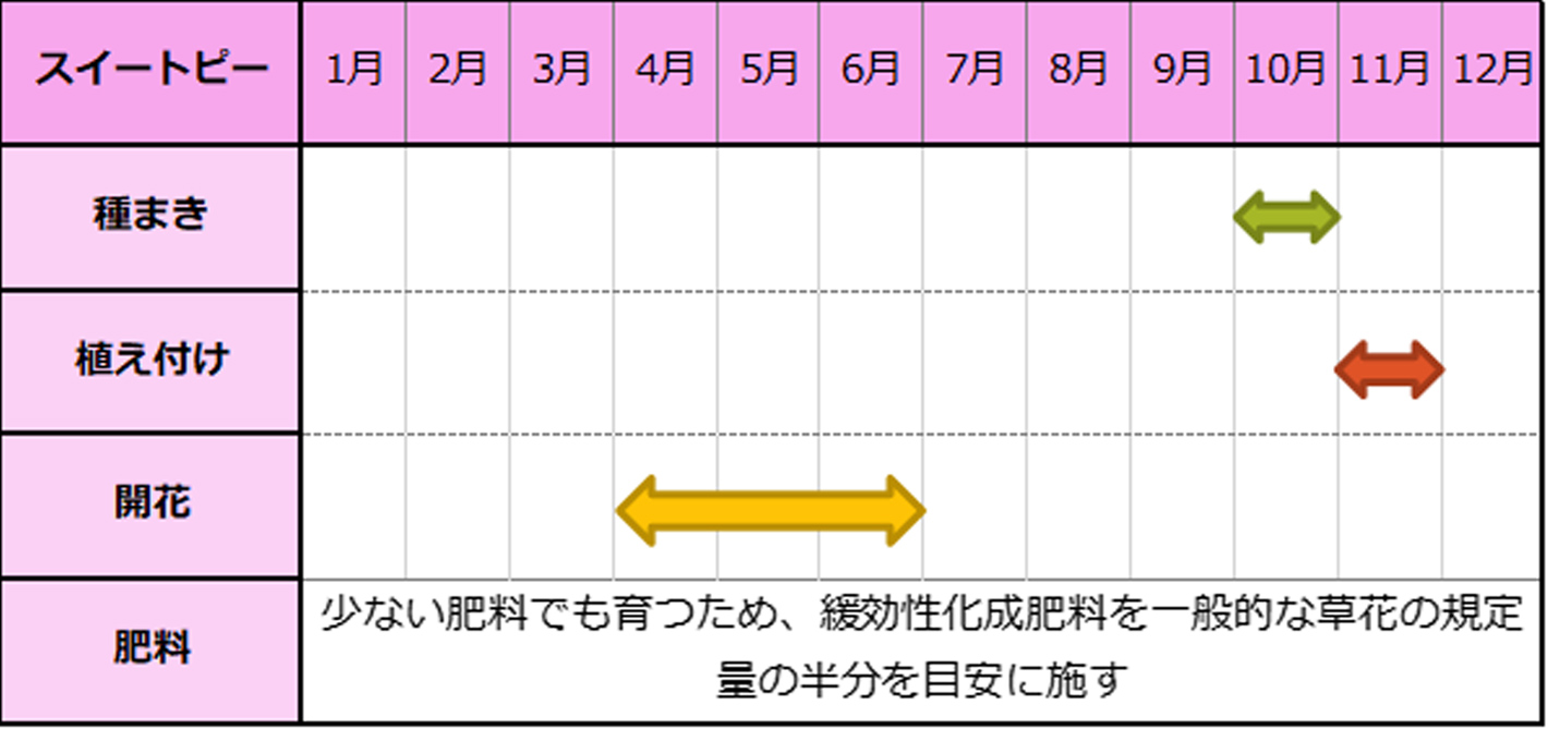 秋植えで春に咲く 10月の種まきにおすすめの花の種類 Home Alsok研究所 ホームセキュリティのalsok