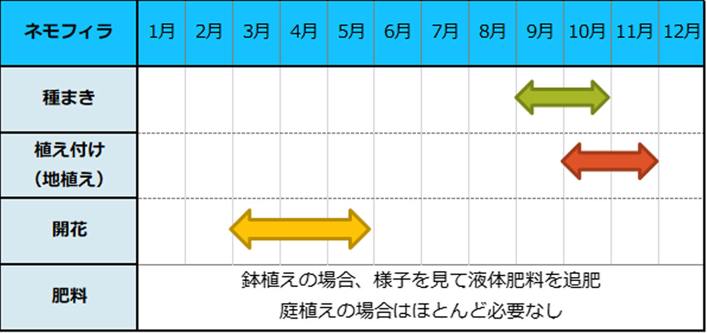 ネモフィラ