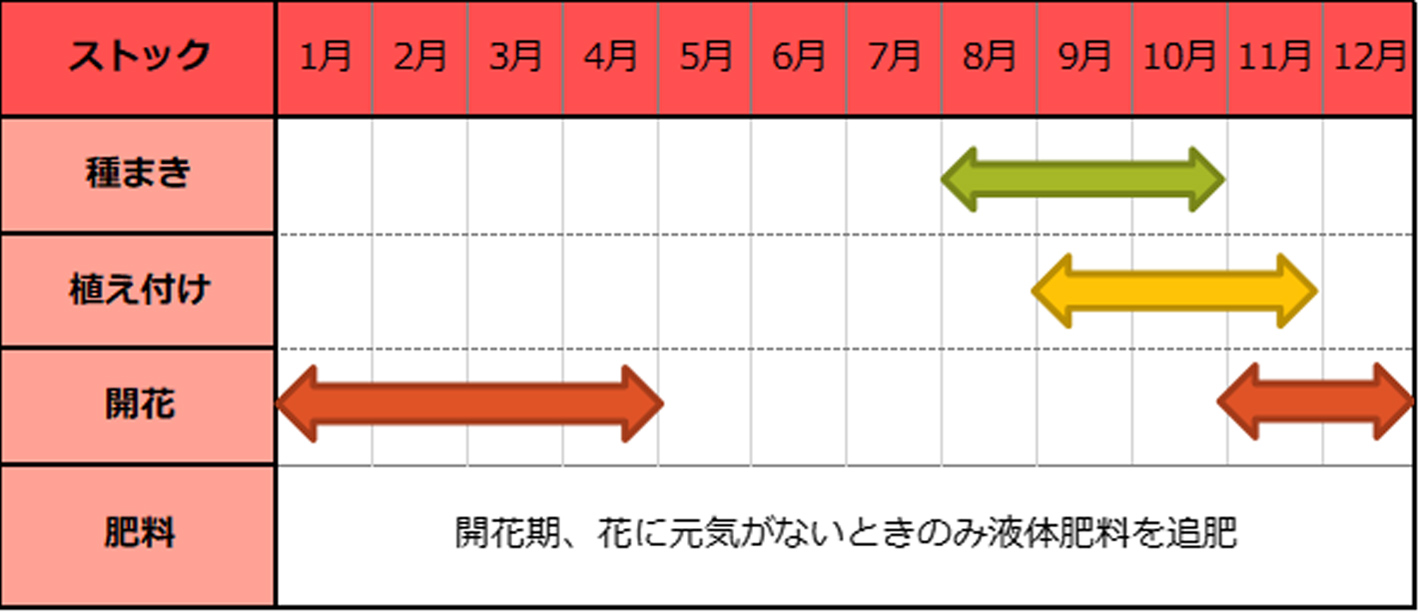 ストック