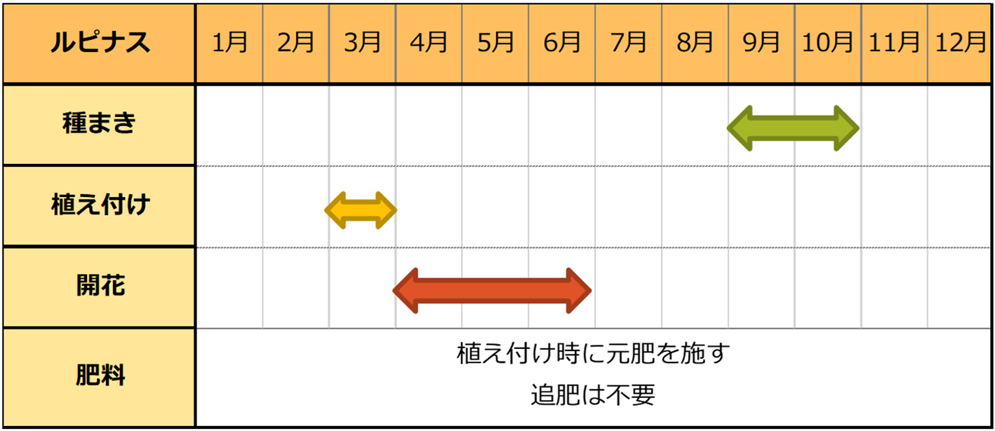 ルピナス種まきスケジュール