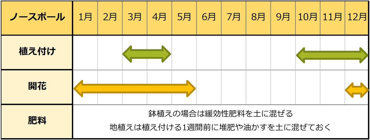 ノースポール種まきスケジュール