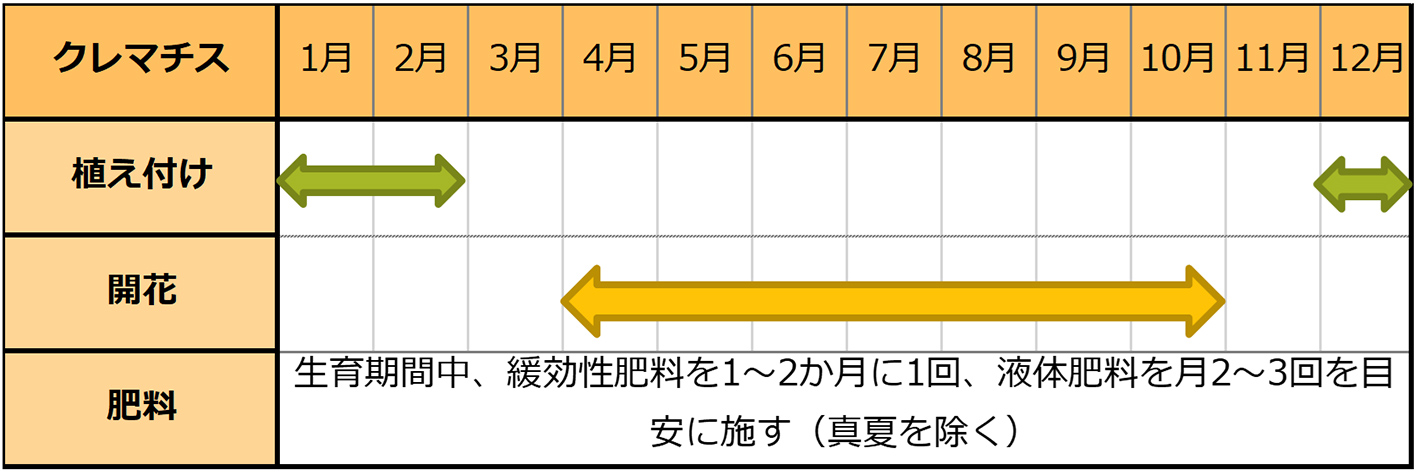 クレマチス種まきスケジュール