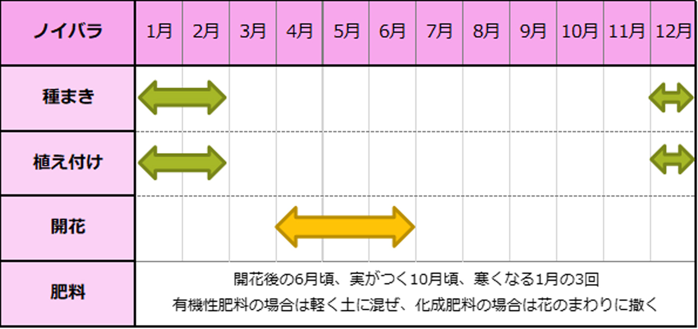 ノイバラ