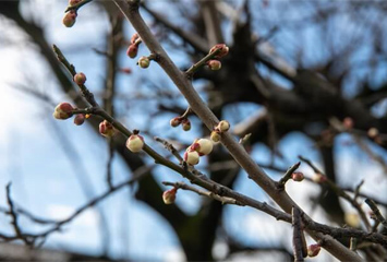 暦の上では立春でも、寒さが厳しい2月