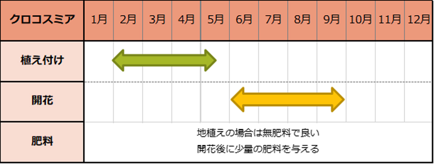 クロコスミア