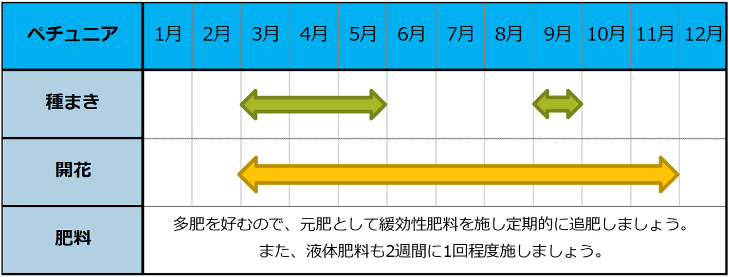 ペチュニアの種まきスケジュール