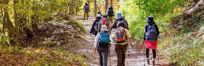 初心者必読！登山での歩き方や事故を防ぐための注意点について