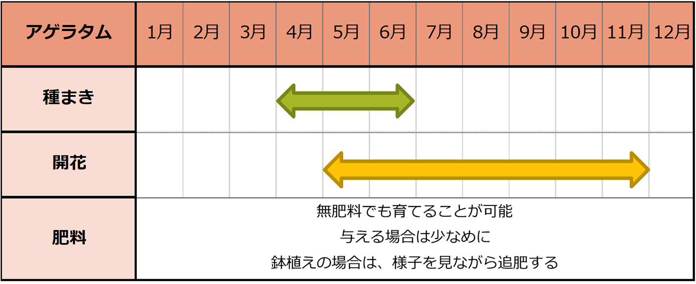 アゲラタム種まきスケジュール