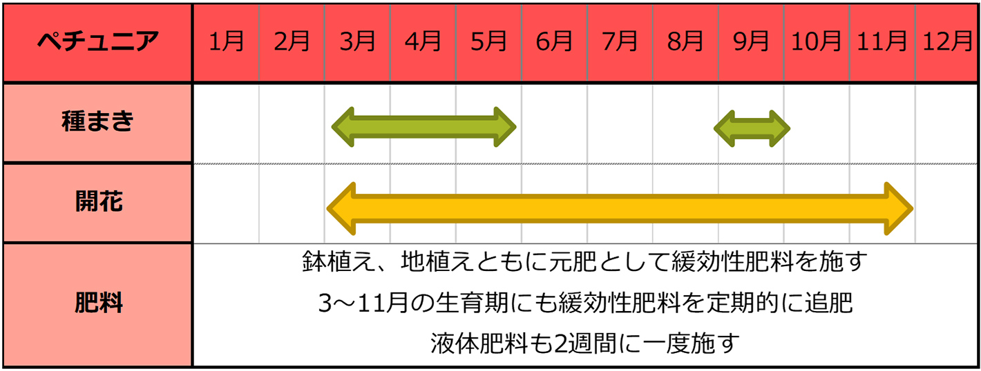 ペチュニア種まきスケジュール