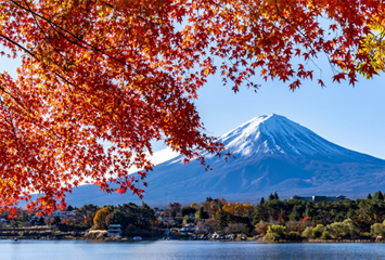 秋から冬へ！寒さが強まる11月