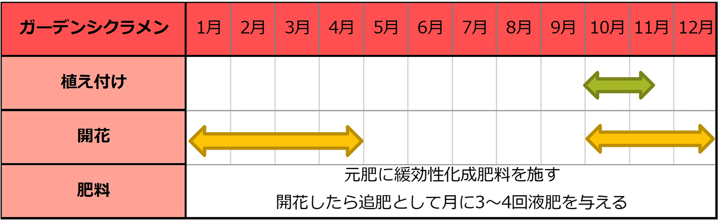 ガーデンシクラメン種まきスケジュール