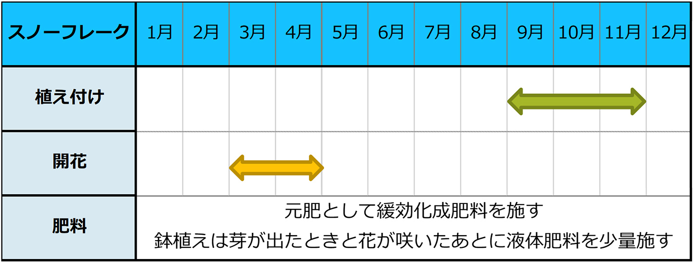 スノーフレーク種まきスケジュール