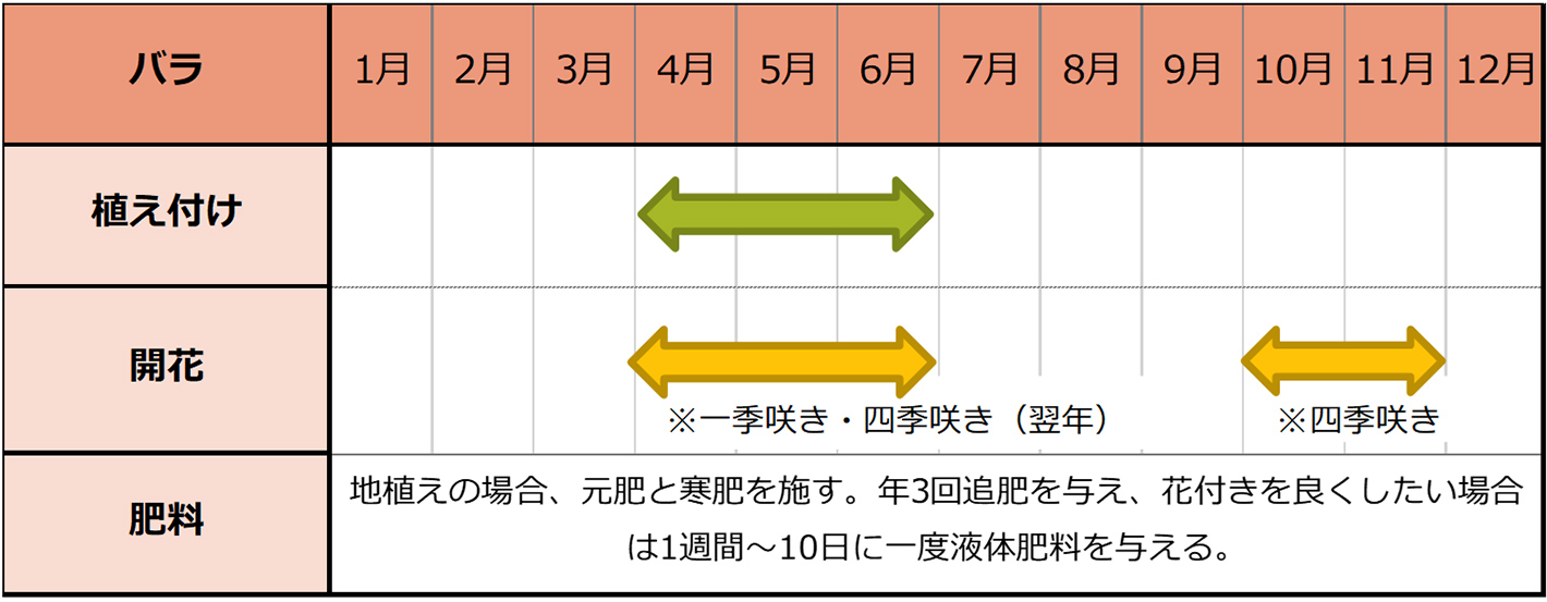 バラの種まきスケジュール