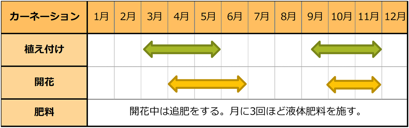 カーネーション(苗植え)のカレンダー