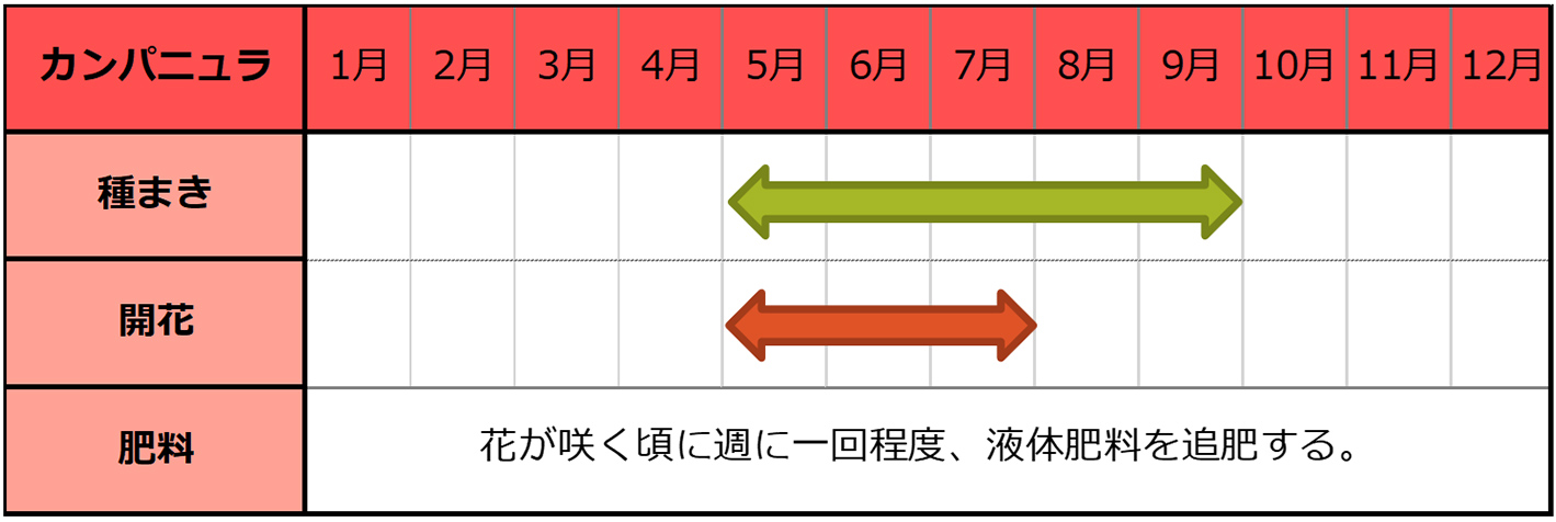 カンパニュラのカレンダー