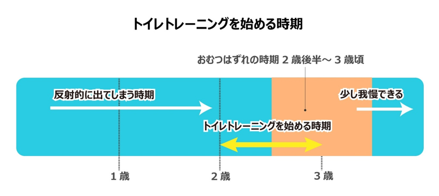 トイレトレーニングはいつから始める？