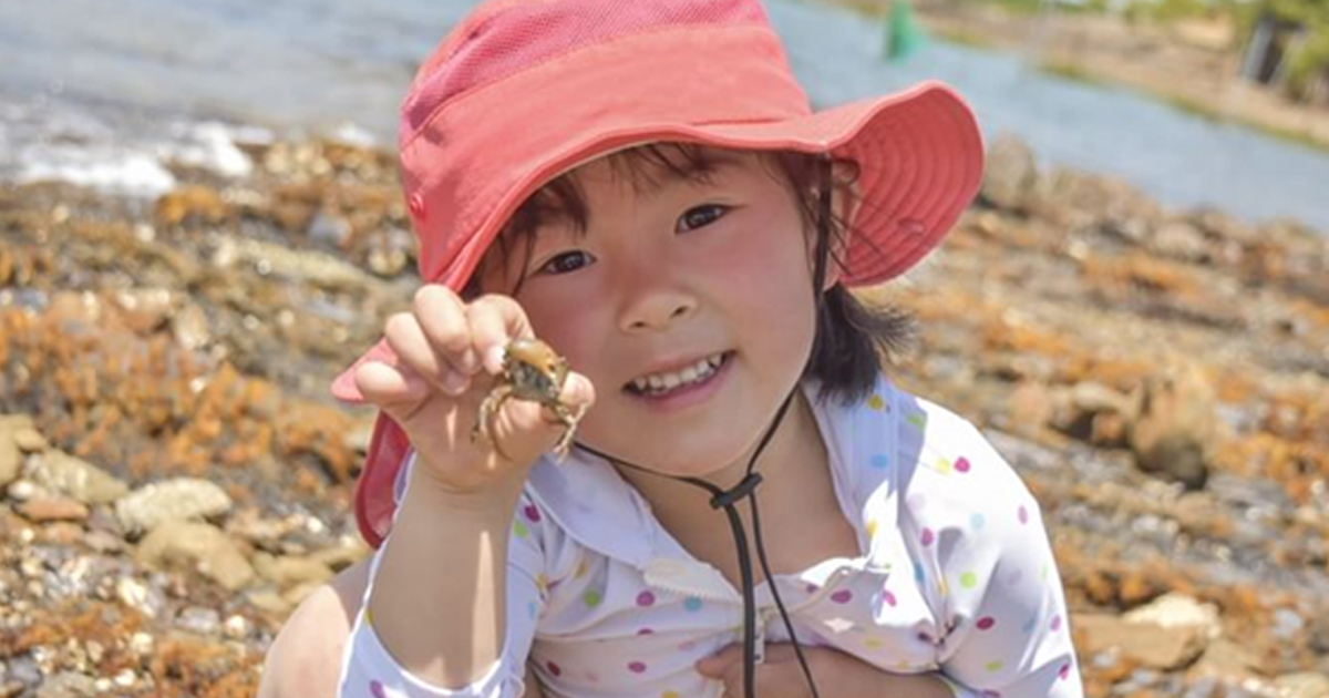 子どもと磯遊びを楽しもう 必要な持ち物や道具 服装について Home Alsok研究所 ホームセキュリティのalsok